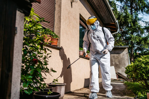 Professional Pest Control in Littlefield, TX