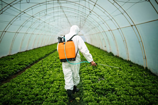 Pest Prevention Services in Littlefield, TX