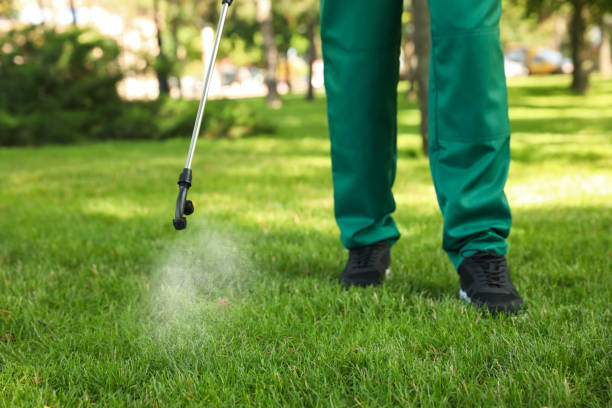 Best Bed Bug Extermination  in Littlefield, TX
