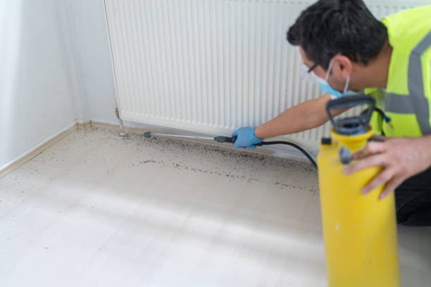 Pest Prevention Services in Littlefield, TX